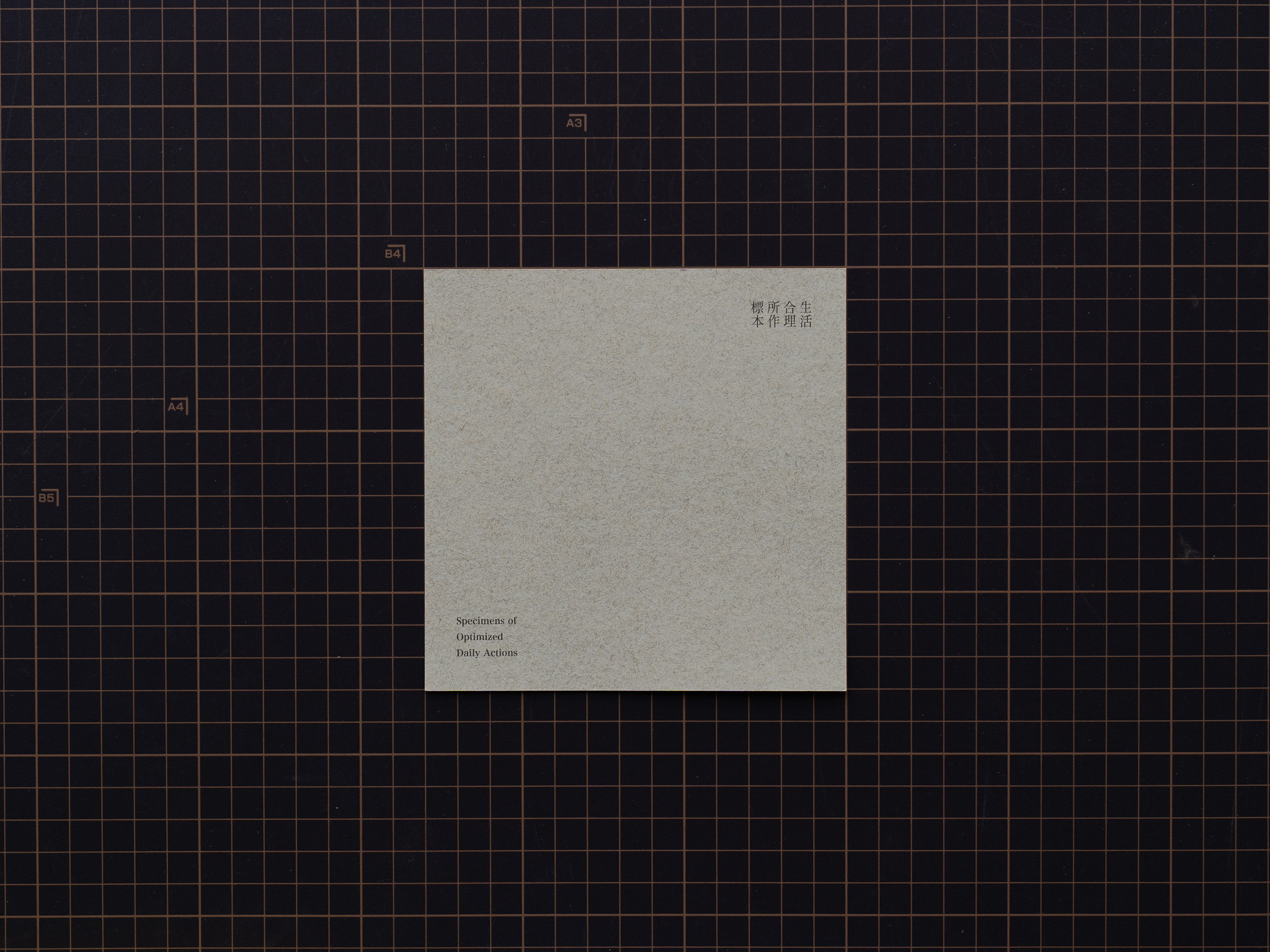 生活所作標本 / Specimens of Daily Actions - image 6